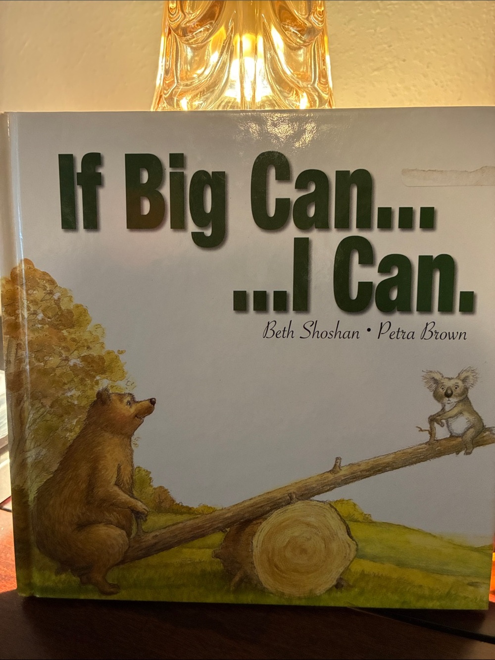 If Big Can... I Can Book